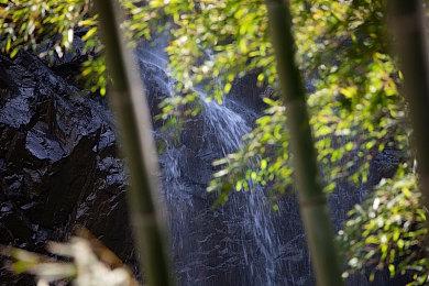 《赤痕：夜之仪式》更新将加入非该世界的新角色